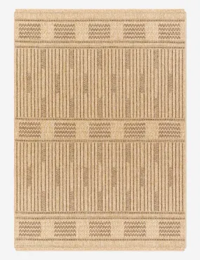 Alasa Indoor / Outdoor Rug